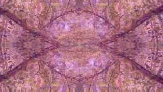 Amazing easy special effect  for the song Monkey DO