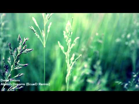 Dave Shtorn - Alyan's Dreams (EcueD Remix) [HD 1080p]