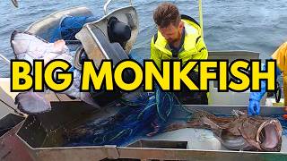 170 Full Monkfish Nets on the Ocean (Lots of BIG Fish) #12