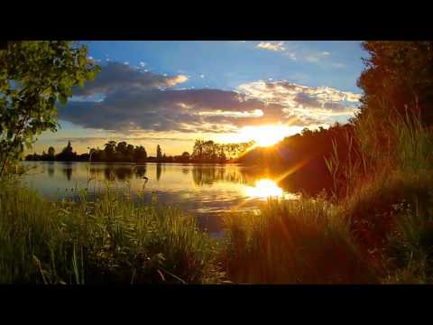 Schwarzwald Ferienhaus Urlaub - Unsere Wilde Heimat erleben
