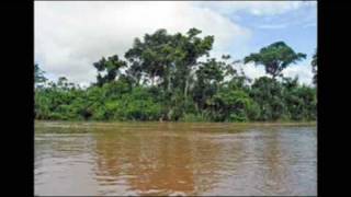 preview picture of video 'Chiapas Río Usumacinta'