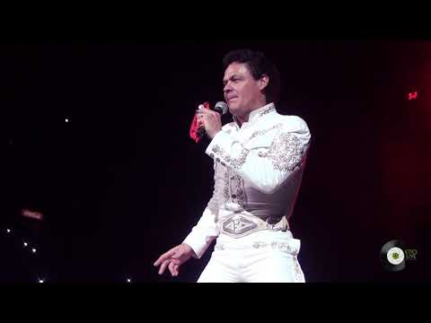 Pedro Fernández - Yo no fui  |  La celebración a mamá  ( Arena Monterrey )