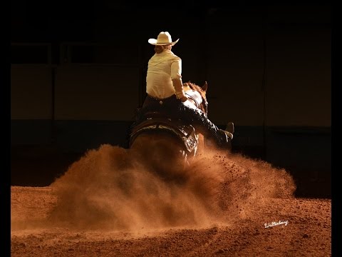 Skeets Whizard ridden by Amy Stoney    2016 NRBC NP Challenge