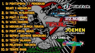 Download lagu DJ PSHT Full Album Terlengkap // Remix PSHT x PSHW // Pendekar Sejati // Mekarlah Bunga Terate mp3