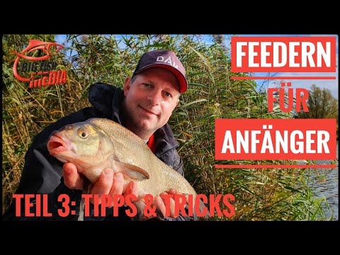 Feedern für Anfänger - Grundkurs Teil 3: Tipps & Tricks | Gregor trifft den Profi