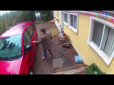 Arlo Pro 2 Review: Arlo HD Indoor and Outdoor Camera