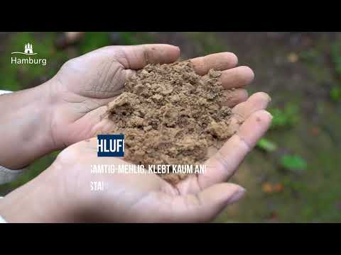 Das Multitalent Boden kennenlernen – so geht die Fingerprobe