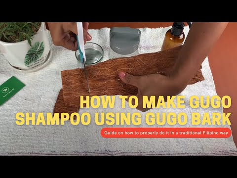Herbs & Spices PH: How to Use Gugo Bark    #gugobark #naturalshampoo #organicshampoo #spices #herbs