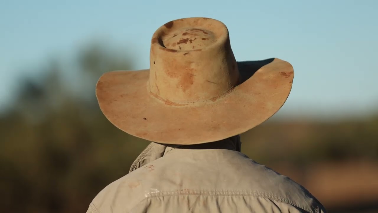 Monitoring Feed From Space