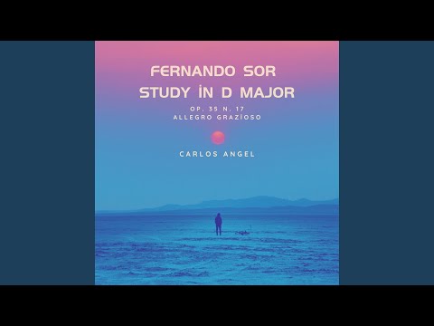 Study in D major, Op.35 No.17