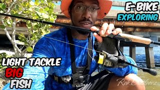 Travel Rod CATCHES big FISH - HOVSCO Folding E-Bike #Hovsco #ebike #fishing #exploring