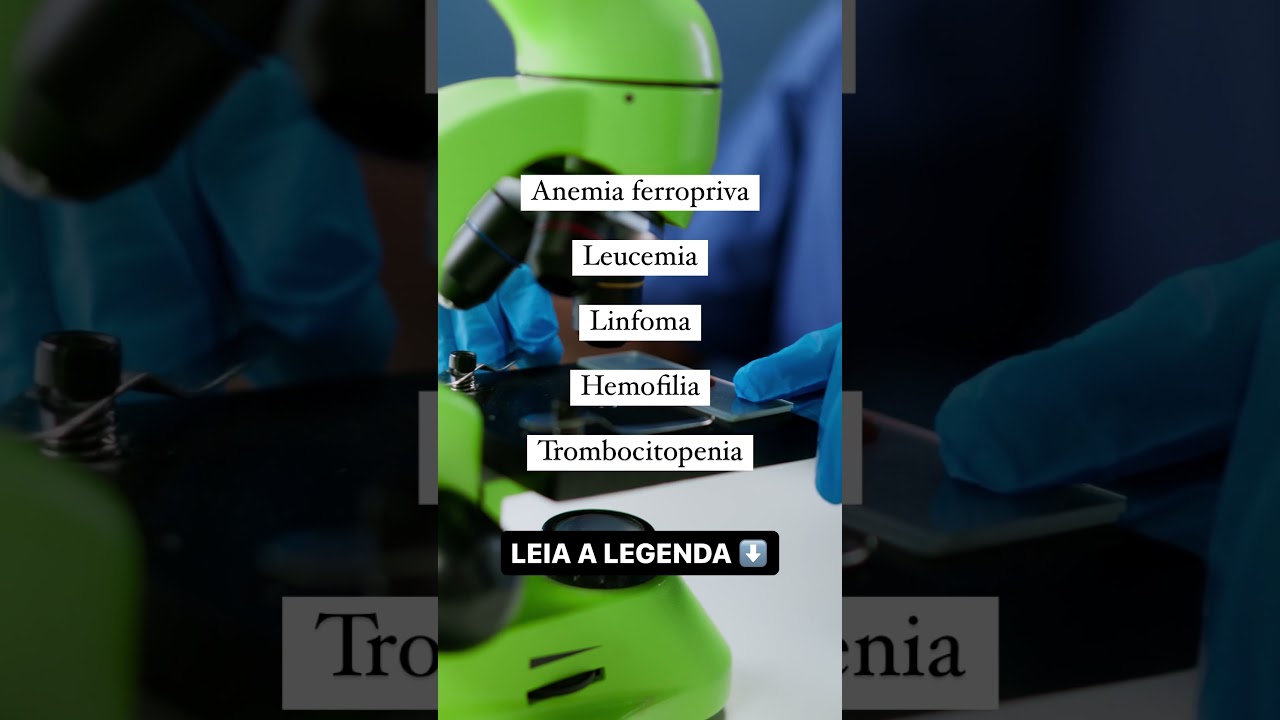 Rafael De Sá Vasconcelos-6