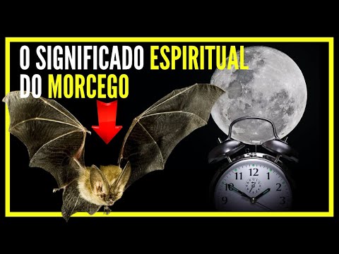 o presságio do morcego - significado espiritual do morcego