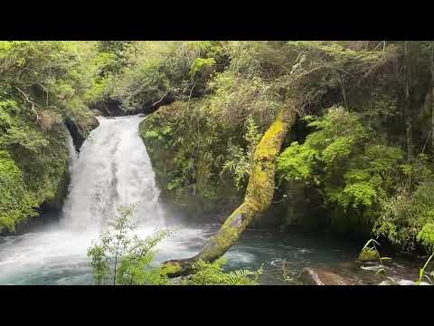 Saltos del Río Anticura , Los Lagos , Chile 
