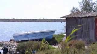 Le Vent - Chanson de Georges Brassens - Interprétation de René Aubry