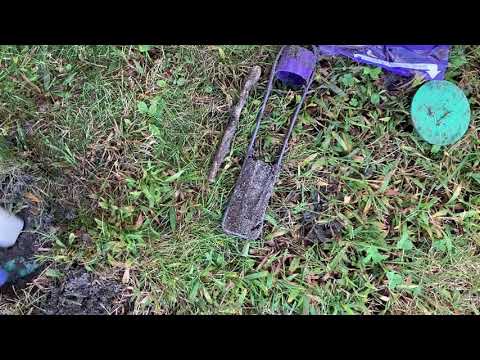 How Sentricon® Protects Your Home from Termites in Freehold, NJ