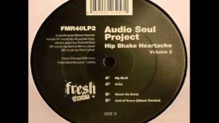 Audio Soul Project - Call of Grace - Fresh Meat Records
