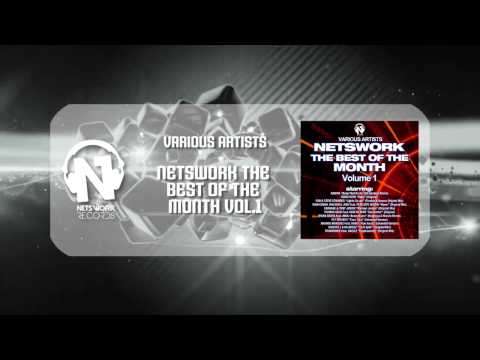 Various Artists - Netswork the best of the Month Vol.1