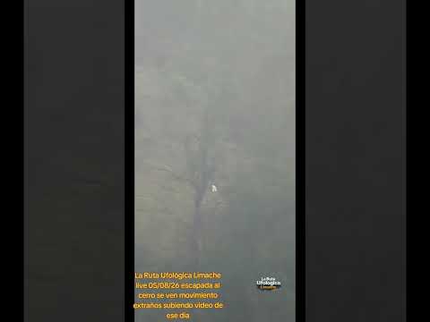 La Ruta Ufológica Limache live 05/08/26 escapada al cerro se ven movimiento extraños