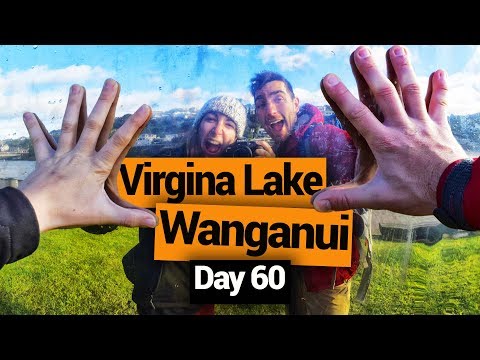 🗺️ Wanganui Market & Virginia Lake - New Zealand's Biggest Gap Year – Backpacker Guide New Zealand Video