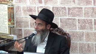 הרב אלון כהן שליט"א - לחיות עם שכל של תלמיד חכם