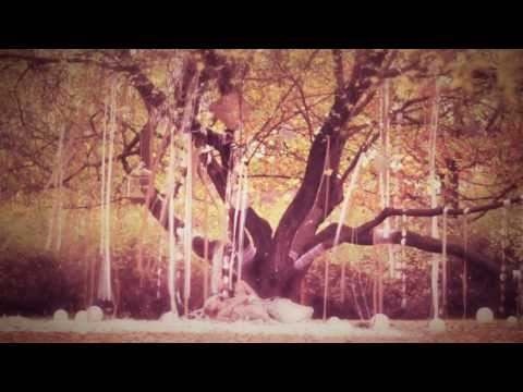 Vlad Zhukov - In The Forest (Paper show)