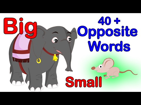 40+ Opposite Words For Kids | Learn Opposites For Kids I Preschool Learning Videos | Kindergarten Video