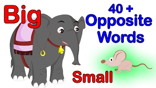 40+ Opposite Words For Kids | Learn Opposites For Kids I Preschool Learning Videos | Kindergarten
