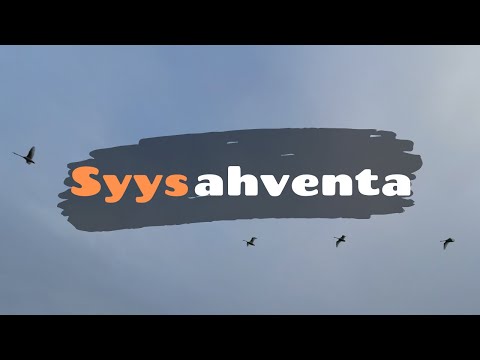 Syysahventa [ Syysahvenien kalastusta merellä marraskuussa ]