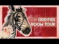 Spooky Room Tour Taxidermy Oddities