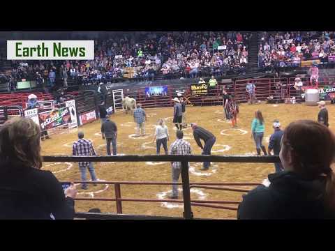 'Cowboy Pinball' game leaves watchers shocked and a participant unconscious