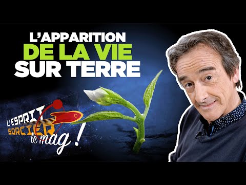 L'apparition de la vie sur Terre - L'Esprit Sorcier, le mag avec Fred Courant