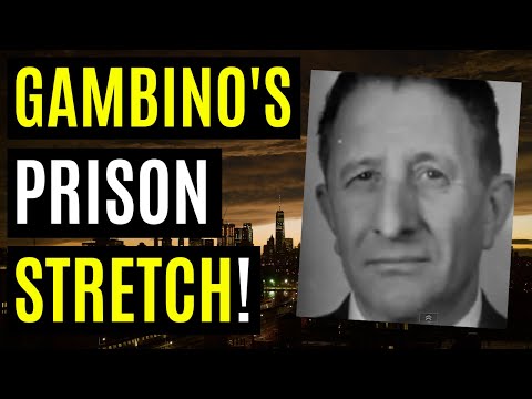 WHY was Carlo GAMBINO sent to PRISON? - Future CRIME BOSS sentenced to nearly 2 YEARS in LEWISBURG!