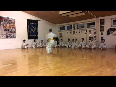 Kindertraining 1. Hyong