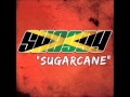 Shaggy   Sugarcane