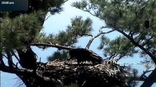 Maine Aug 7 am meal delivery for Eden