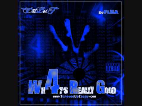 Dat Boi T - Gotta Lotta Those (Feat. Dirty J, Felony, & GT Garza) (WRG4) (Track 15)