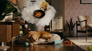 Purina Beggin' Bacon Flavored Dog Treats: Nothing Else Gets a Dog 