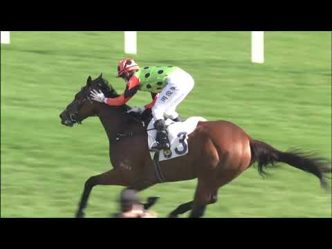 20/12/2020 (278) Carroll Street- C L Chau