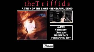 The Triffids - A Trick Of The Light (Rehearsal Demo)