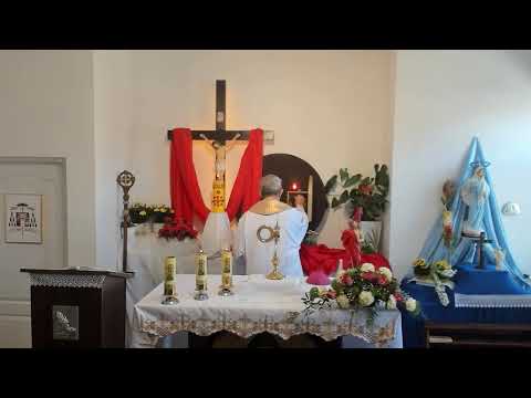 MODLITWA POŁUDNIOWA - OJCZE NASZ I REGINA COELI - CZWARTEK 16.04.2020 godz.12.00