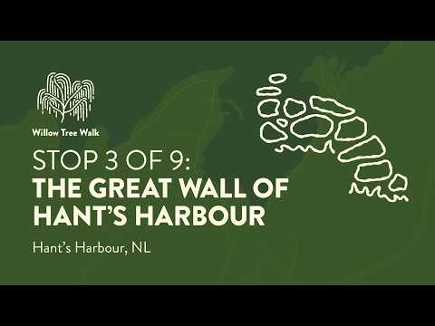 3 - The "Great Wall" of Hant's Harbour, Willow Tree Walk