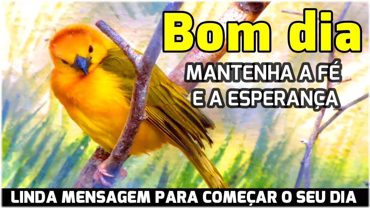 PALAVRA DO DIA/ Mensagem de Bom Dia / Mantenha a Fé e a Esperança