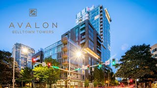 Avalon Belltown Towers | 1 BD + Den 1 BA 840 sq ft, Tier II Scheme, Unit 705