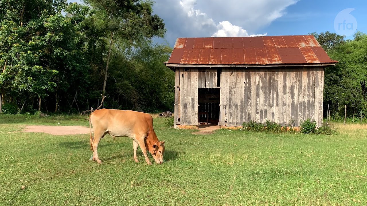 ‘We don’t have a schoolteacher’; resident of Cambodian village where the school is in disrepair