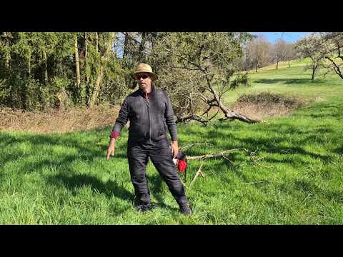 Tai Chi Wu Kurzform 4 - Drehen, Block und Schlag