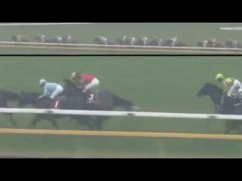 2015.11.08 Copa Republica Argentin (JPN) - Gold Actor