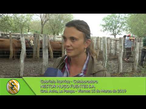 15-03-19 - Gabriela Iturrioz  - Colaboradora - Nestor Hugo Fuentes S.A. - Gral Acha