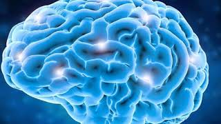 Download lagu Alpha Music - Right Brain Stimulation for babies & Kids | Nalini Zinu mp3