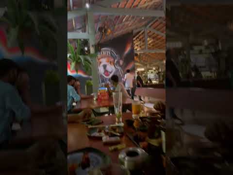 Day out with friends in BLR #nightlife #bangalore #youtube #beer #pubg #chicken #enjoy